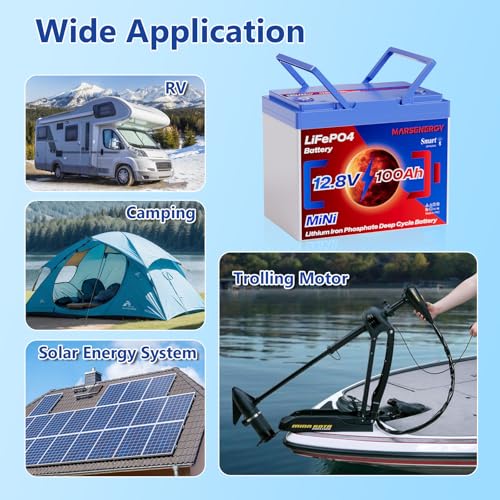 12V 100Ah Lifepo4 Battery, Bci Group 24, Built-In 100A Smart BMS E9866