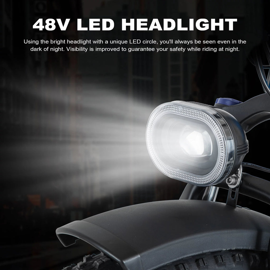 Electric Bike 26 Fat Tire 750W 48V F77960