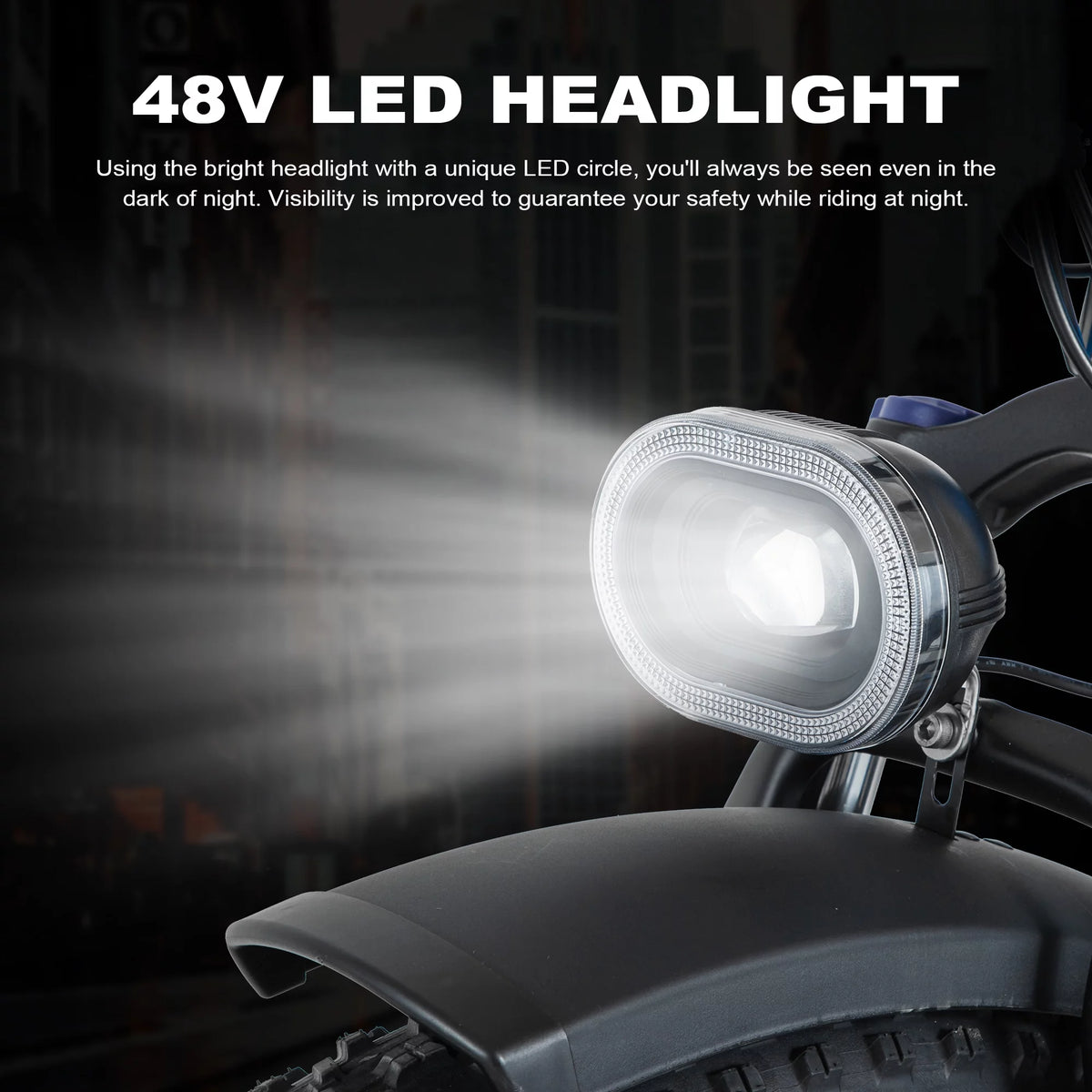 Electric Bike 26 Fat Tire 750W 48V F77960