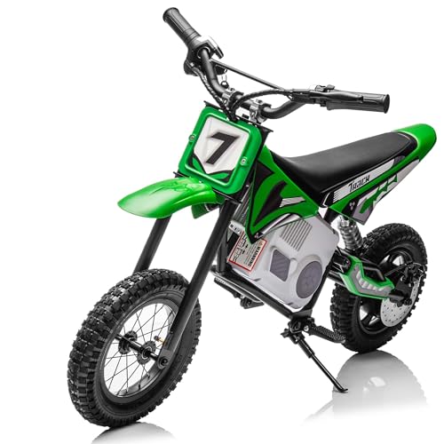 Pink Electric Dirt Bike with 350W Motorcycle D865
