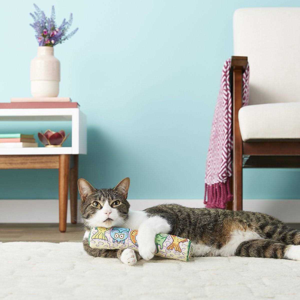 Cat Toy P32754