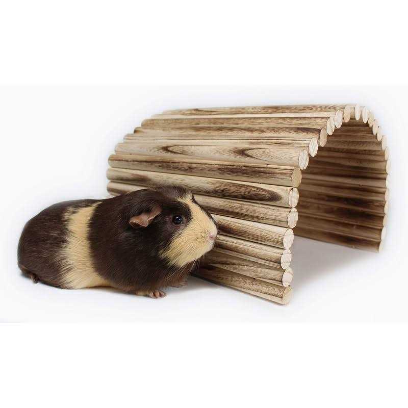 Extra Large Wood House Tunnel Ramp I669825