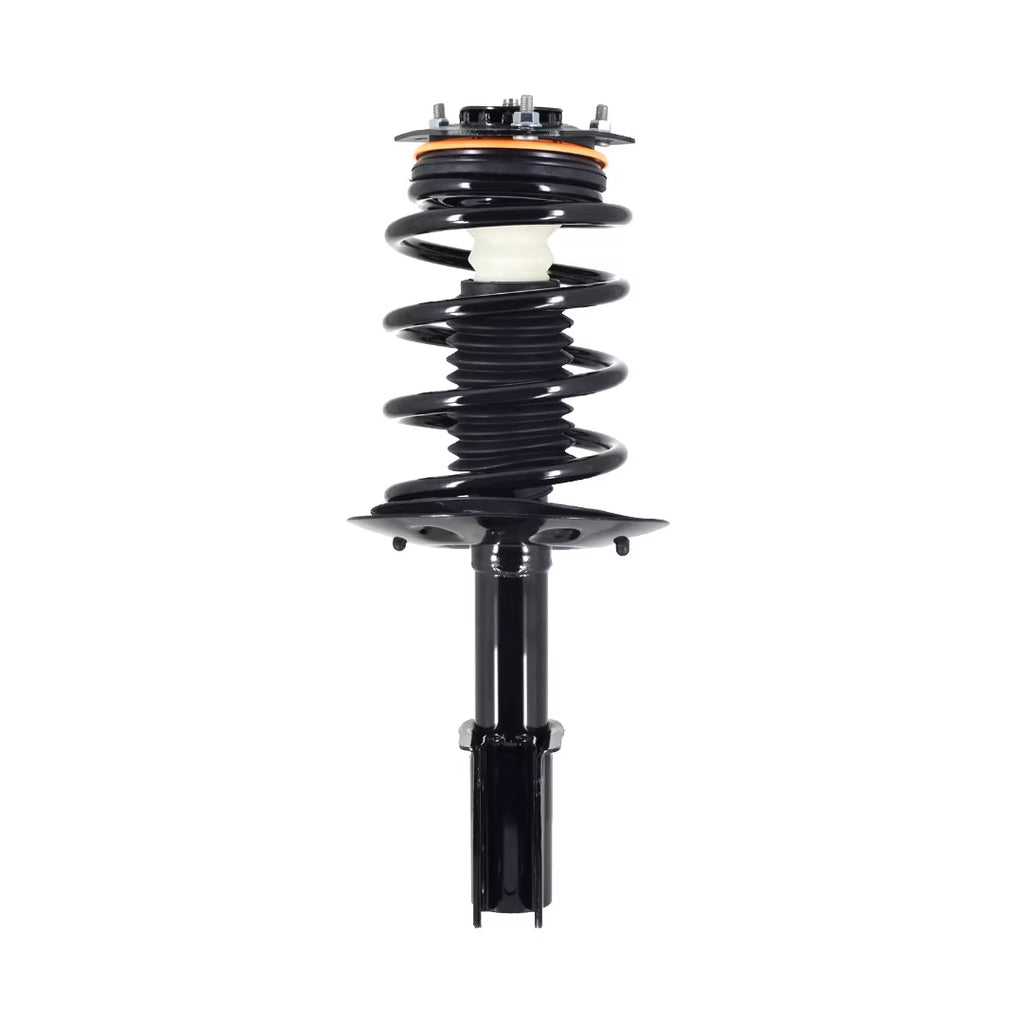 Complete Strut and Coil Spring Y8399