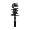 Complete Strut and Coil Spring Y8399