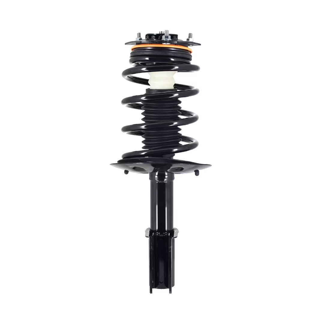 Complete Strut and Coil Spring Y8399