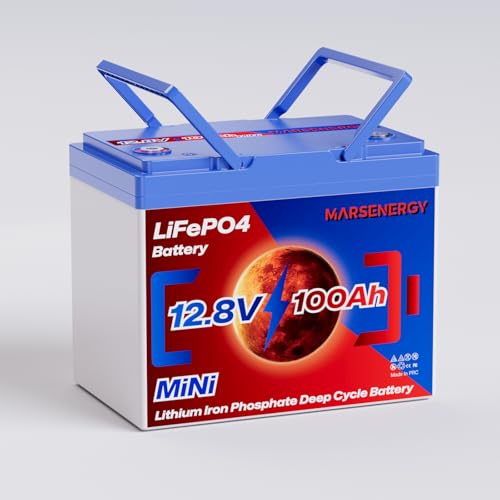 12V 100Ah Lifepo4 Battery, Bci Group 24, Built-In 100A Smart BMS E9866
