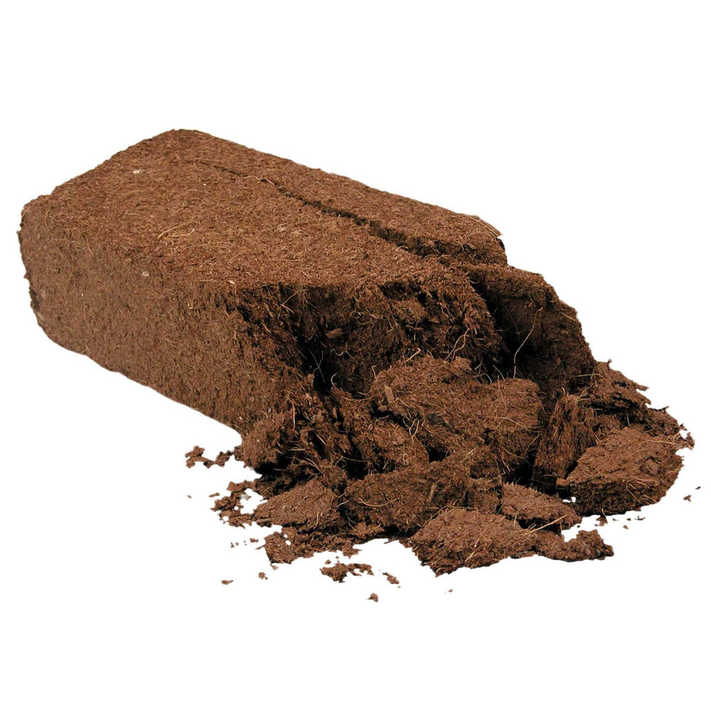 Coconut Husk Reptile Bedding H583199