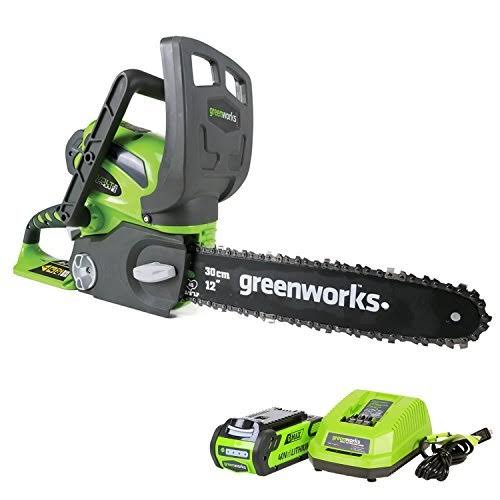 12-Inch 40V Cordless Chainsaw X305