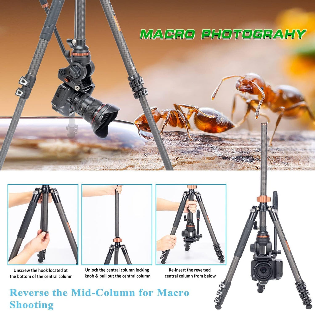 67 inches Carbon Fiber 4-Section Video Tripod with Fluid Drag Head G565365