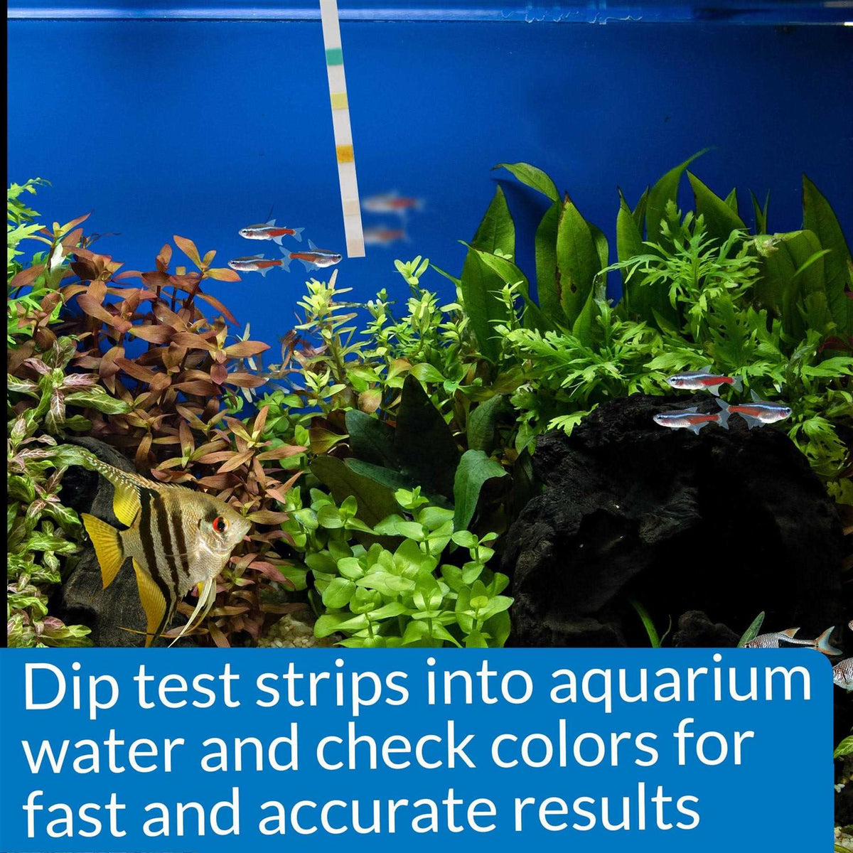 5 in 1 Aquarium Test Strips C4262