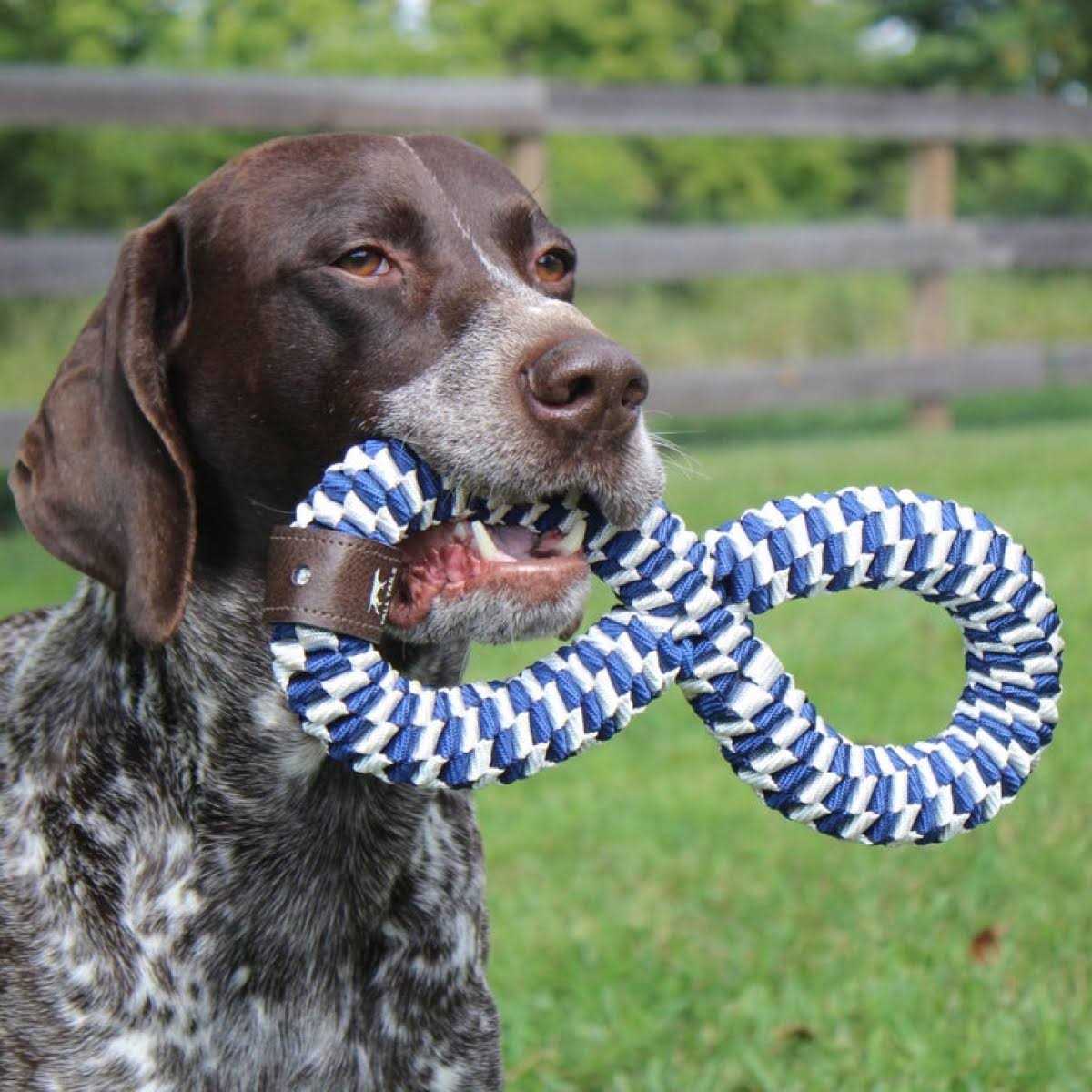 Braided Infinity Tug Toy A330939
