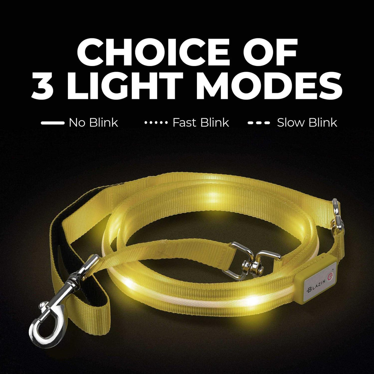 LED Dog Leash with Flashing Light C768390
