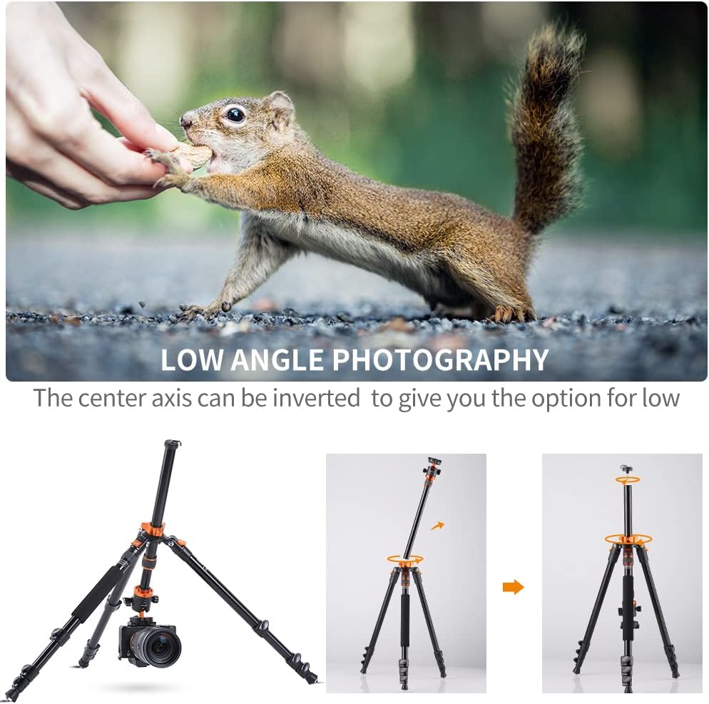 78 inch Aluminum Camera Tripod with 360 Degree Ball Head, Pack of 2 R86003