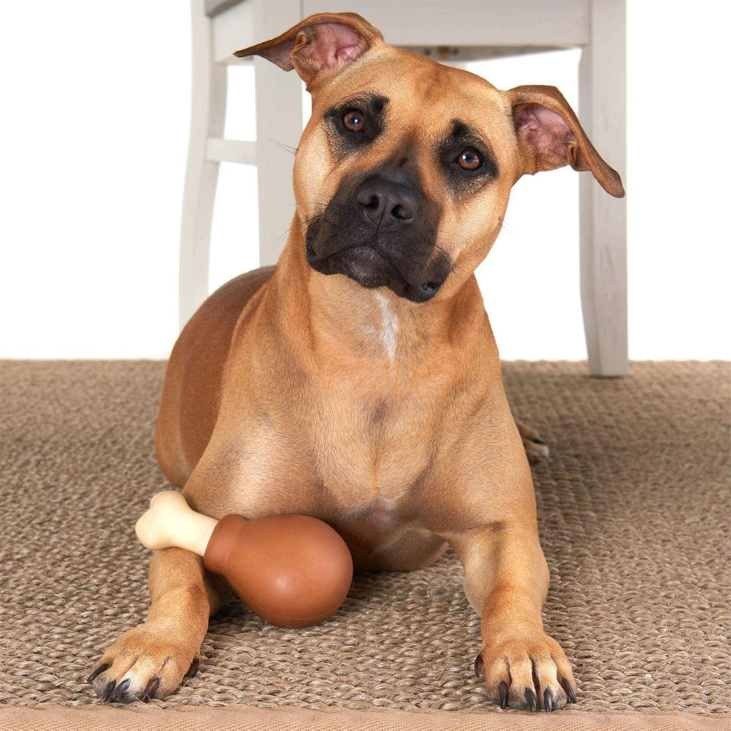 Super Chewer Drumstick Dog Toy P571