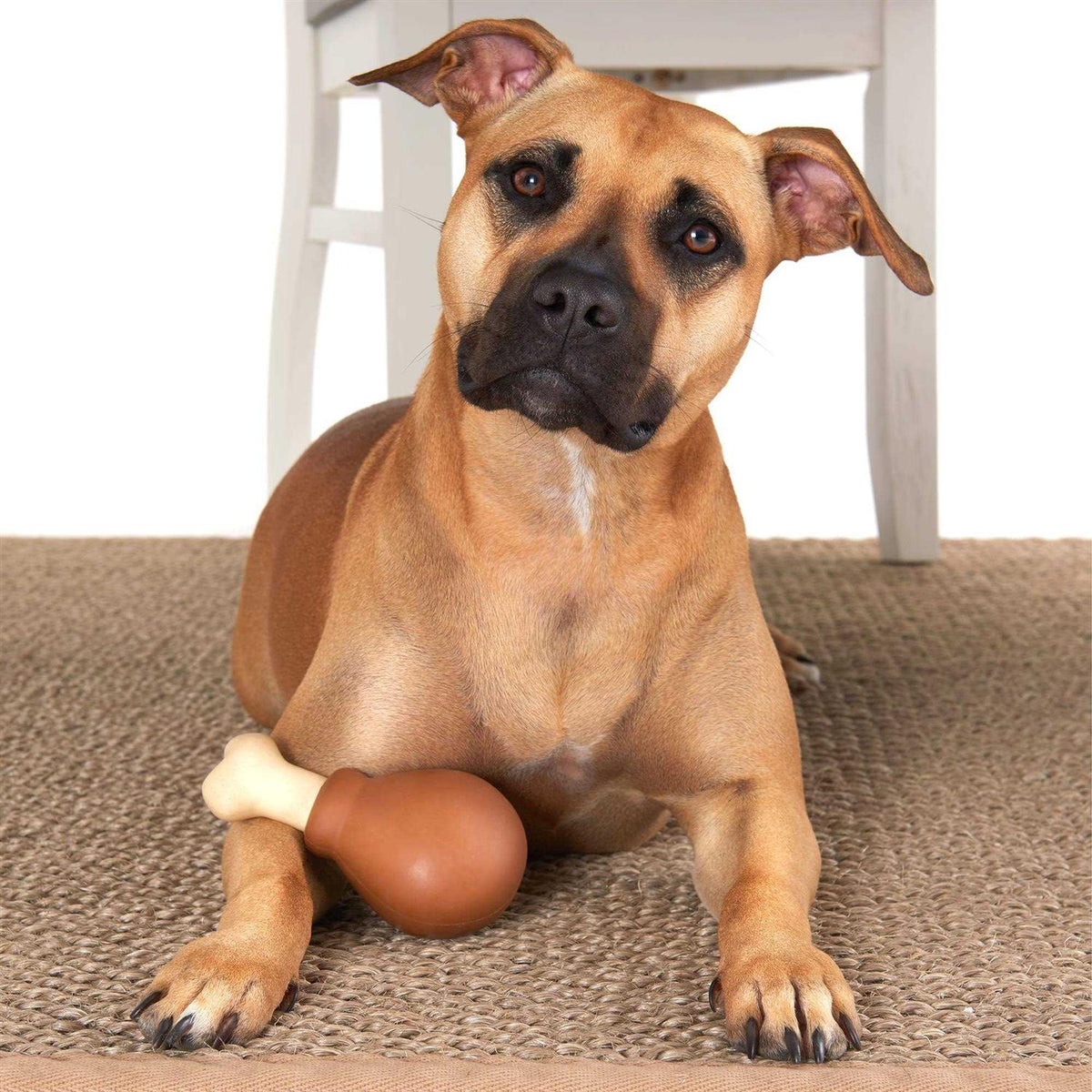 Super Chewer Drumstick Dog Toy P571