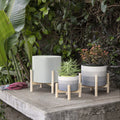 12" Ceramic Chevron Planter with Wood Stand L35383
