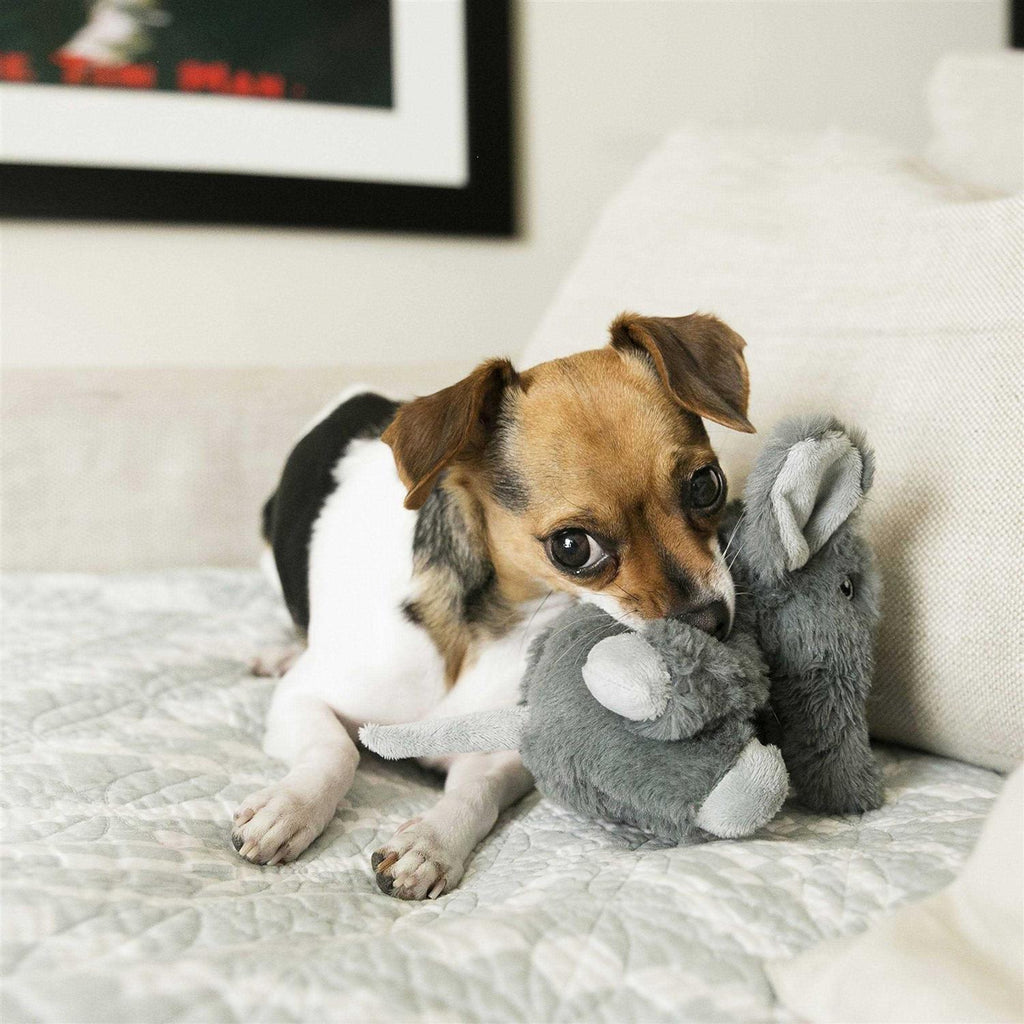 Elephant Dog Toy X459
