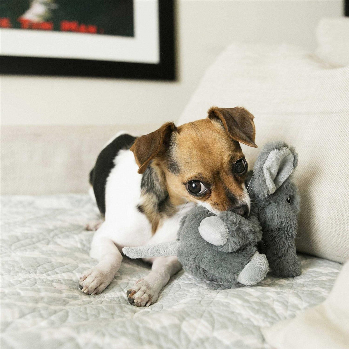 Elephant Dog Toy X459