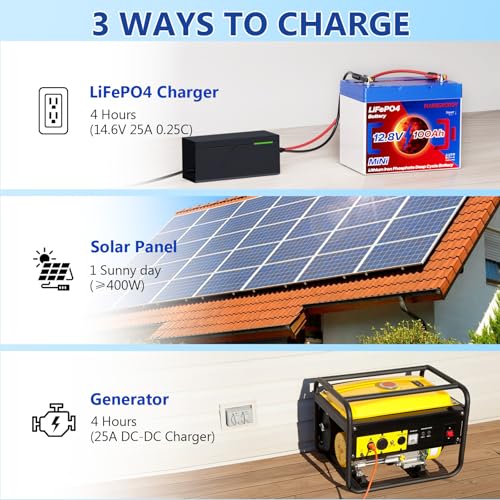 12V 100Ah Lifepo4 Battery, Bci Group 24, Built-In 100A Smart BMS E9866