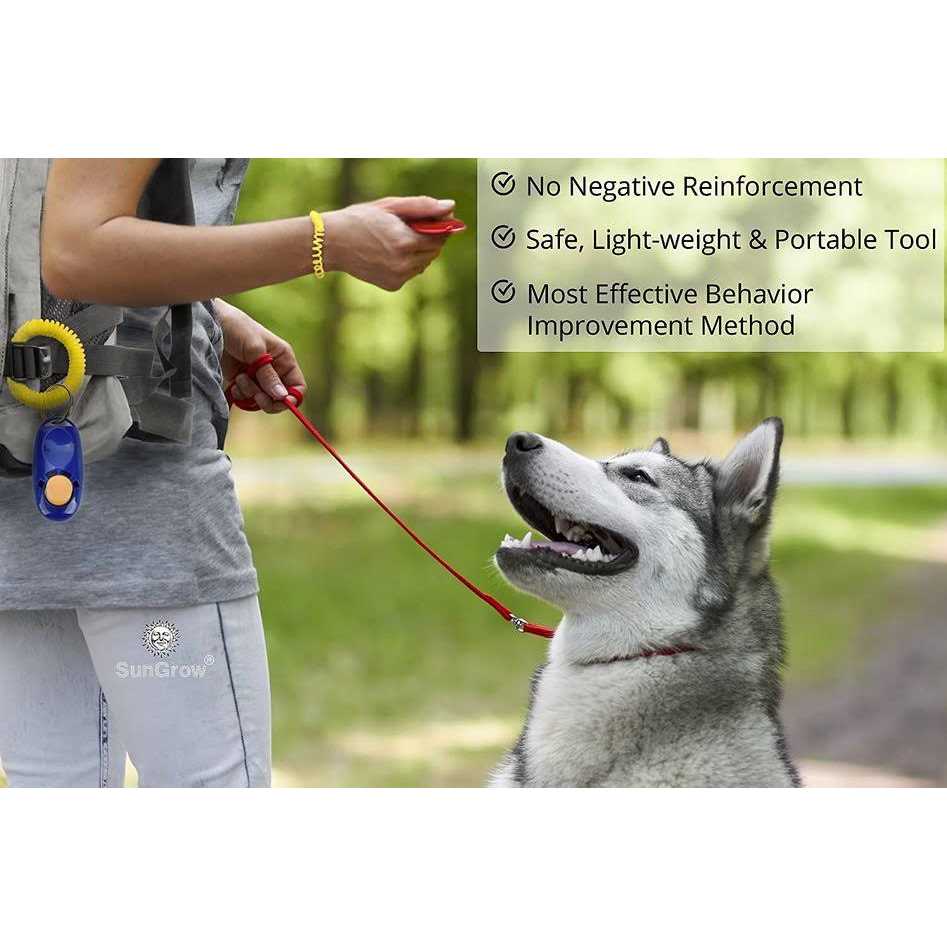 Dog & Cat Training Clicker with Wrist Band B172449