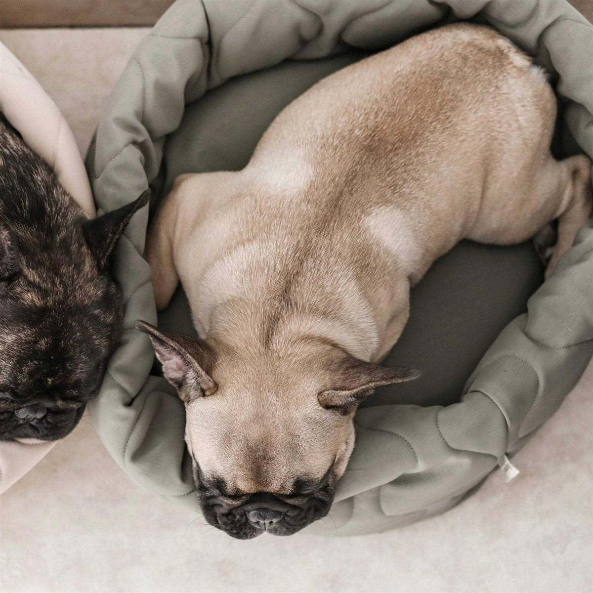 Reversible Donut Pet Bed H106