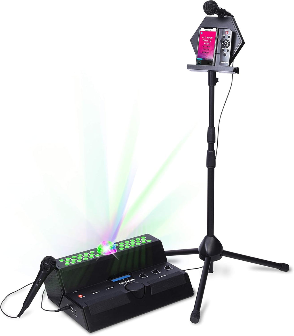 Karaoke Machine with Two Mics I525982