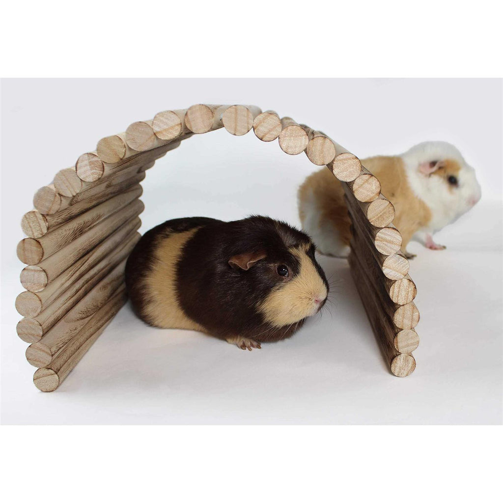 Extra Large Wood House Tunnel Ramp I669825