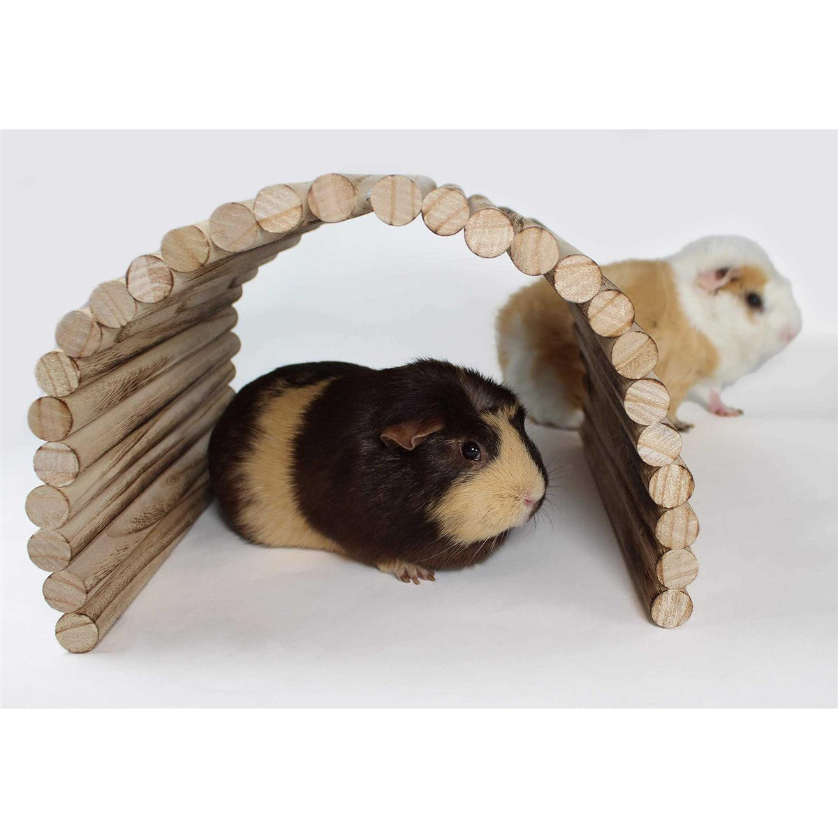 Extra Large Wood House Tunnel Ramp I669825