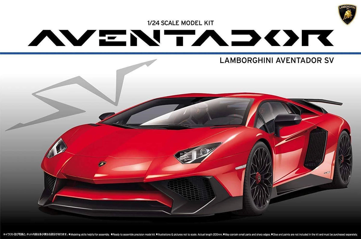 1/24 Model Car S391