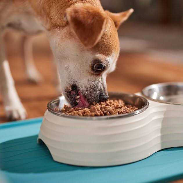Wet Dog Food I205