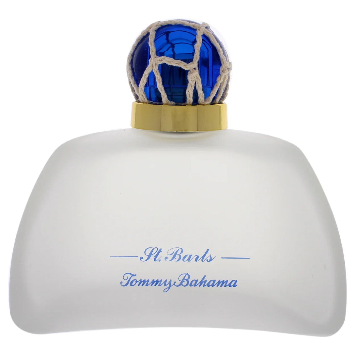 Eau De Parfum Spray for Women 3.4 oz Y7549