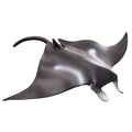 Manta Ray Wildlife Figurine Y73824