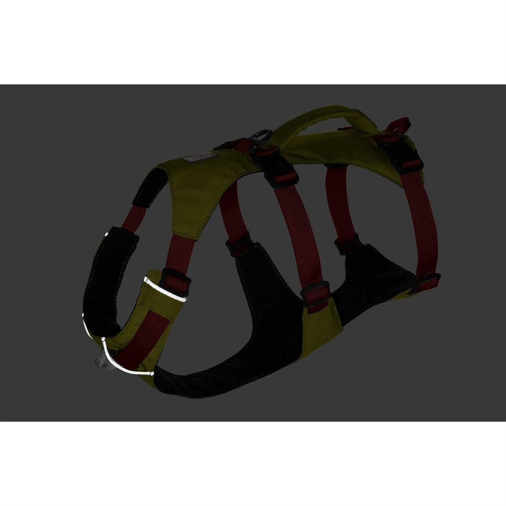 Harness H19767