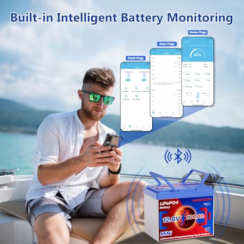 12V 100Ah Lifepo4 Battery, Bci Group 24, Built-In 100A Smart BMS E9866