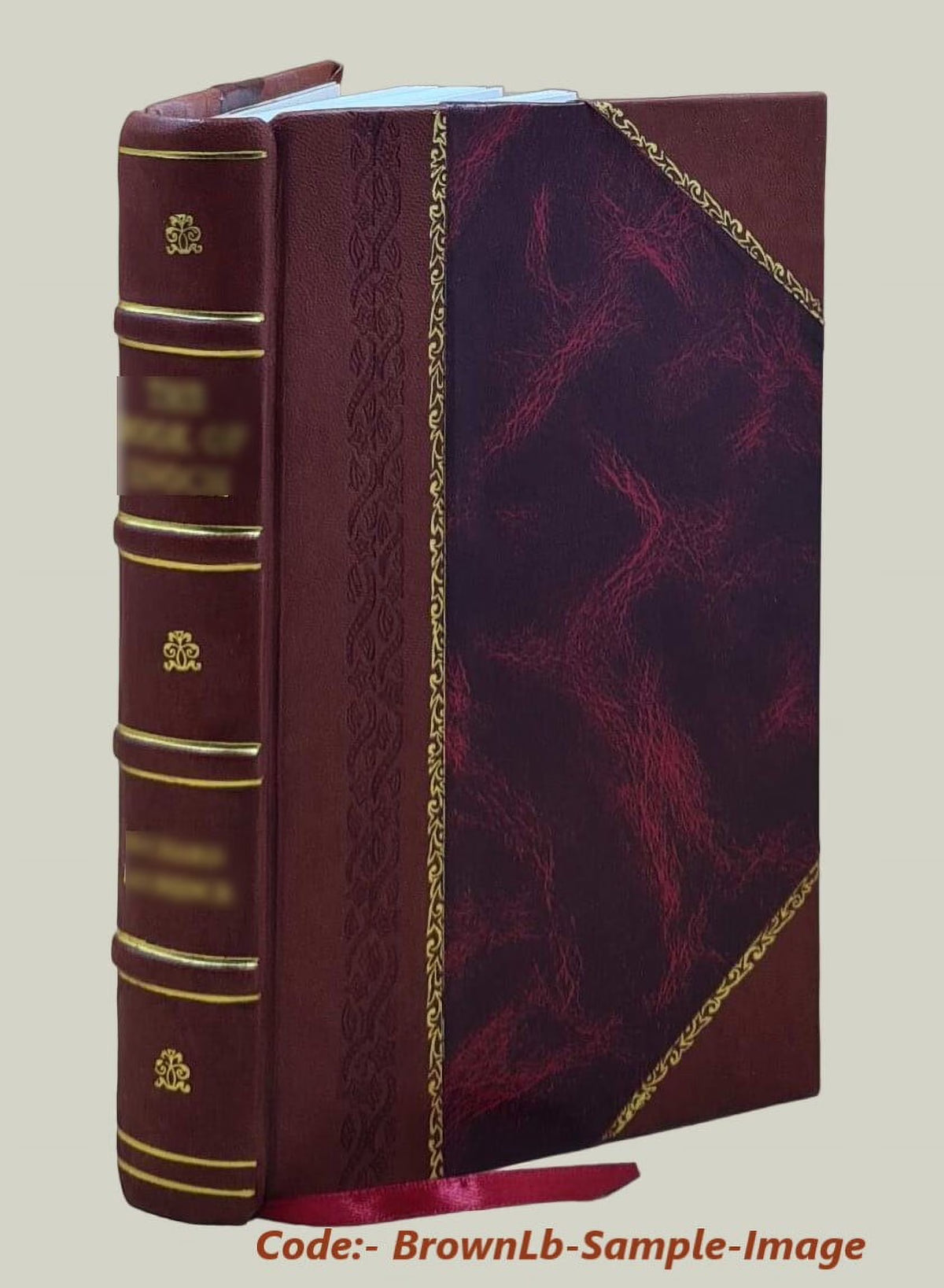 Leather Bound Book G233