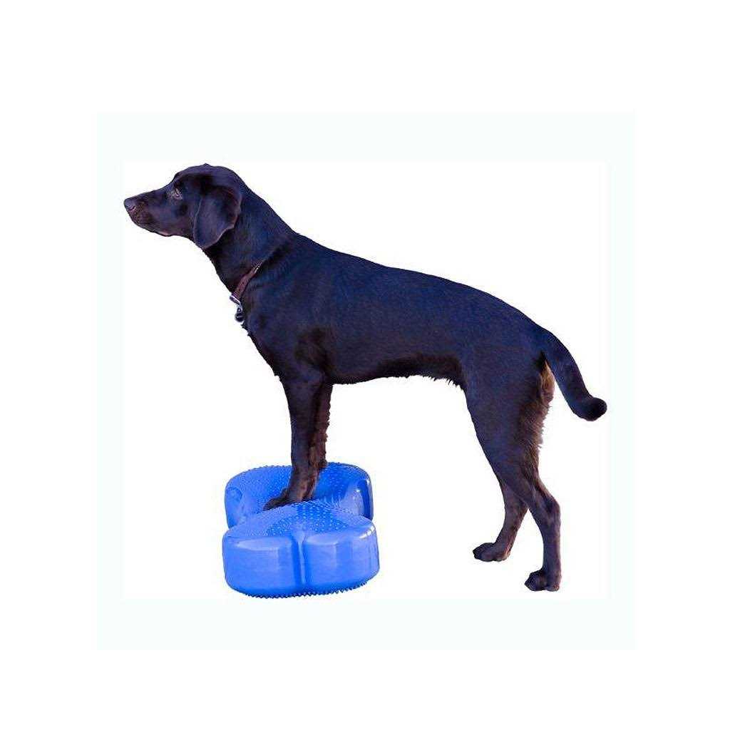 Agility Training Pet Supplies H4737
