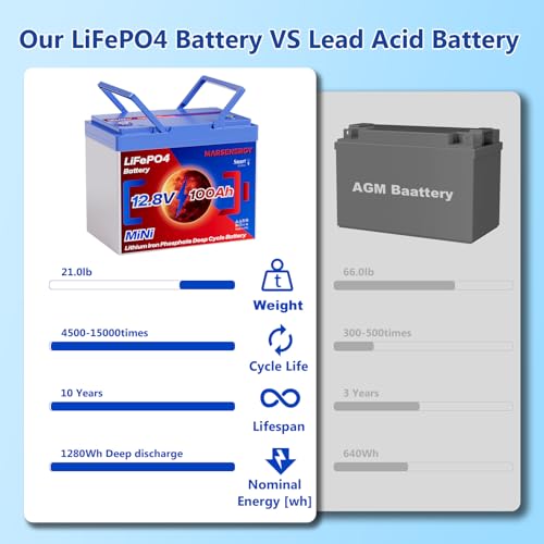 12V 100Ah Lifepo4 Battery, Bci Group 24, Built-In 100A Smart BMS E9866