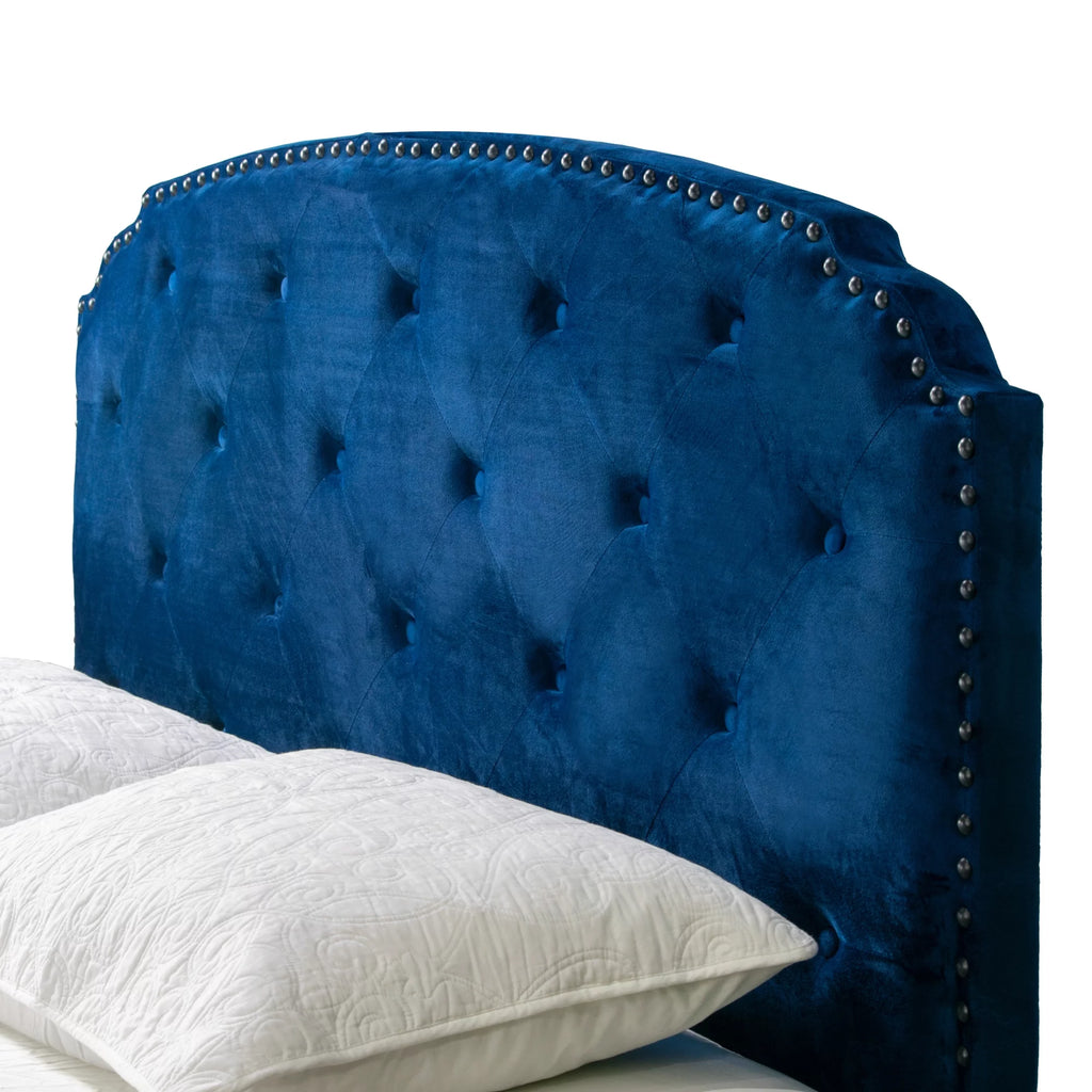 Queen Bed with Button Tufting and Nail Head Trim in Blue X542665