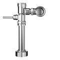 Flushometer V41685