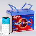 12V 100Ah Lifepo4 Battery, Bci Group 24, Built-In 100A Smart BMS E9866