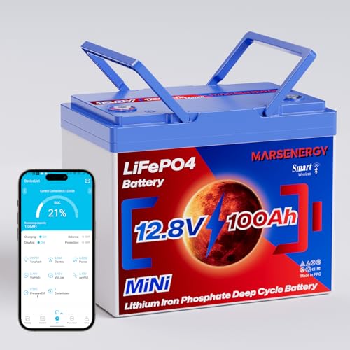 12V 100Ah Lifepo4 Battery, Bci Group 24, Built-In 100A Smart BMS E9866
