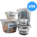 Chameleon Feeder Bundle D5149