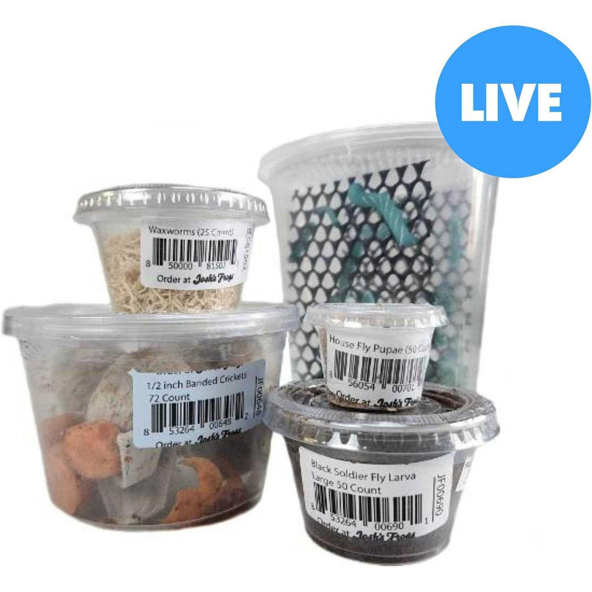 Chameleon Feeder Bundle D5149