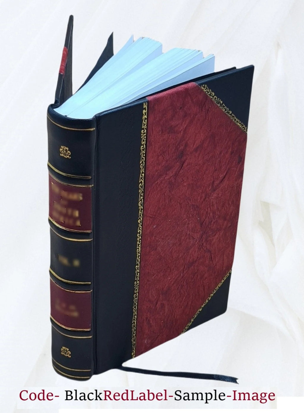 Nineteenth Century Railway Appliances Leather Bound D155