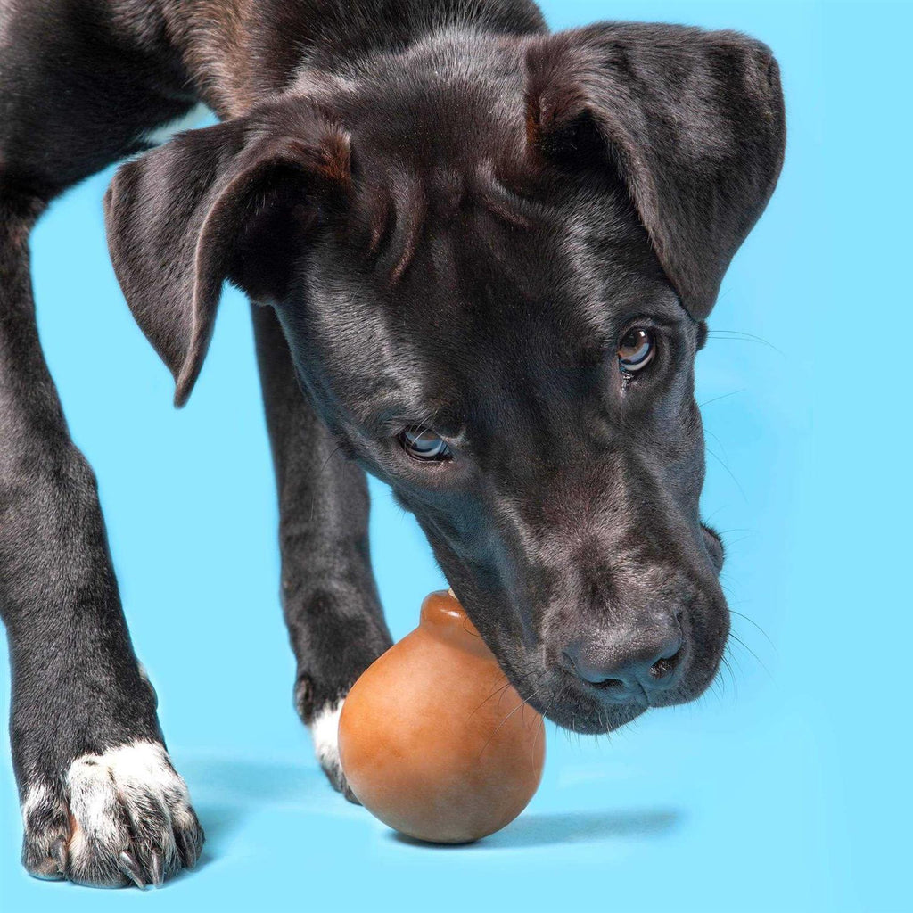 Super Chewer Drumstick Dog Toy P571